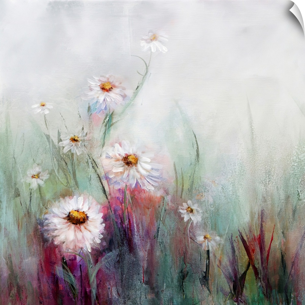 An ethereal painting of white oxeye daisies mixed with tones of pink in front of a misty white background