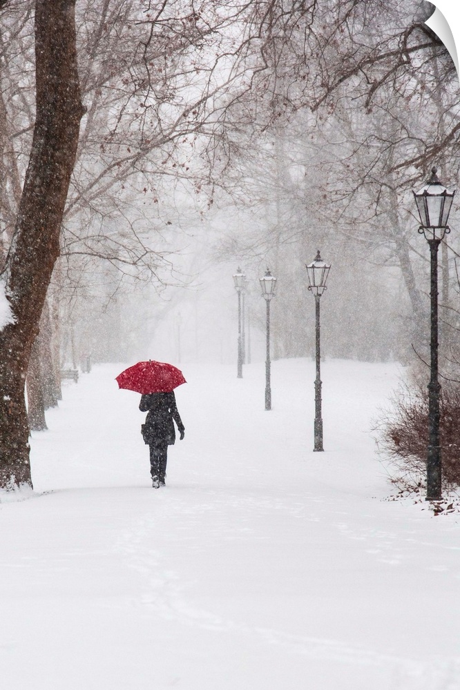 A photograph of a person holding a red umbrella walking through the snow in a park.