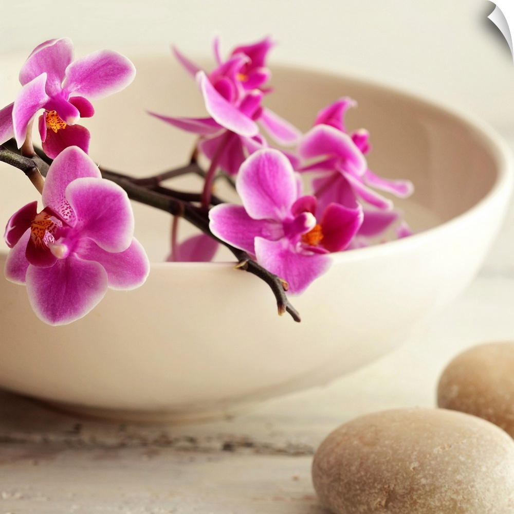 A square photograph of pink orchids in a bowl with rocks next to it.