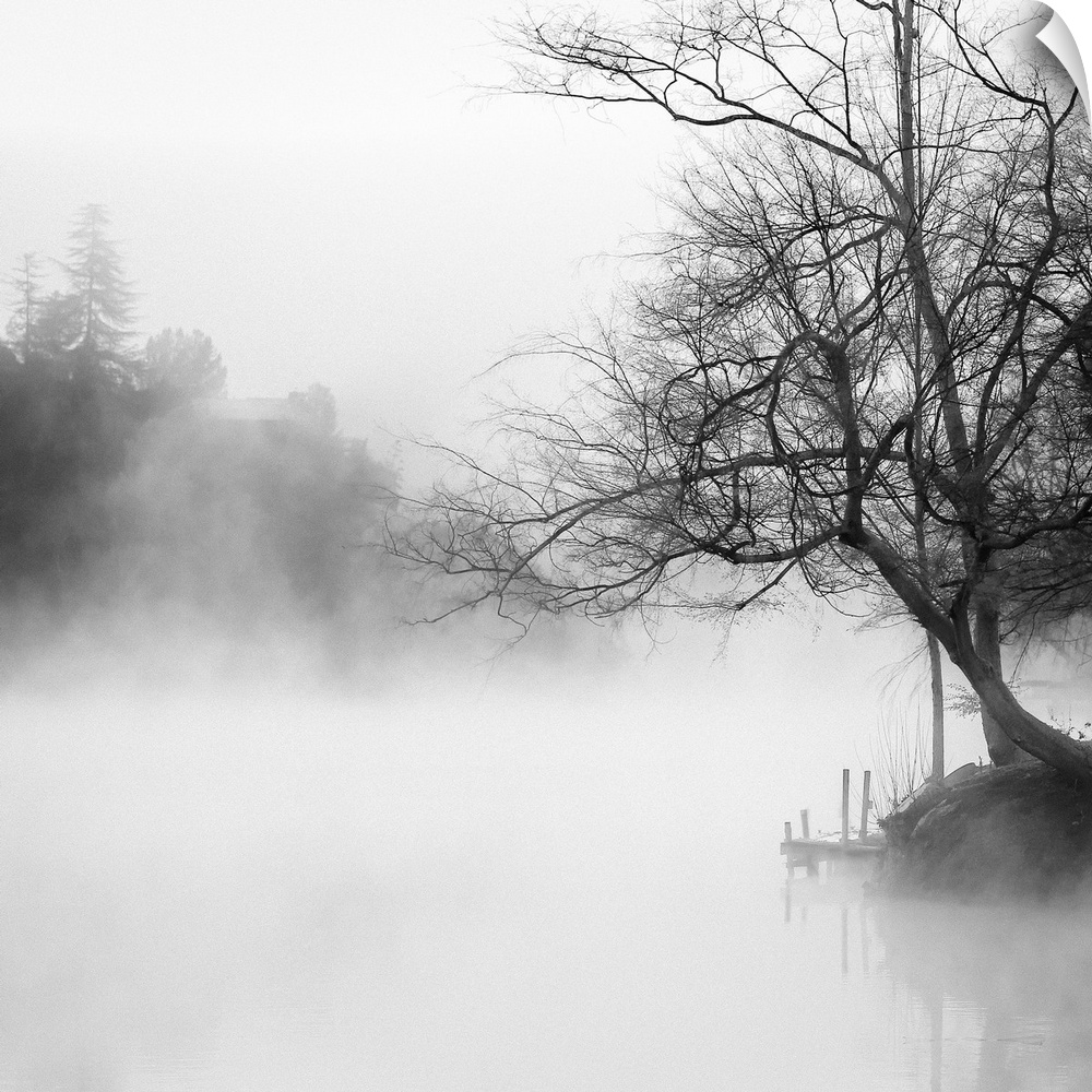 Black and white photography of a misty lake lined with trees.