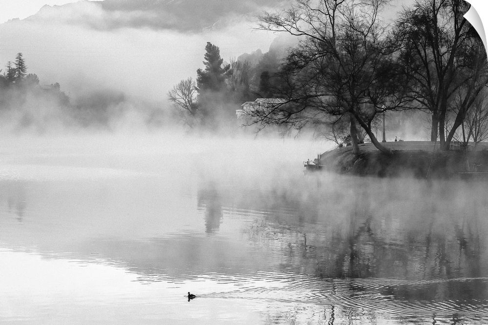 Black and white photography of a misty lake lined with trees.