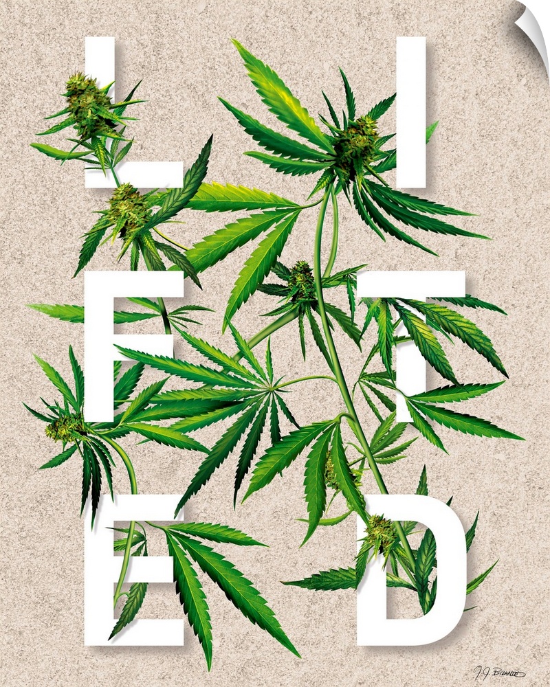 Digital art painting of a poster titled Lifted by JJ Brando.