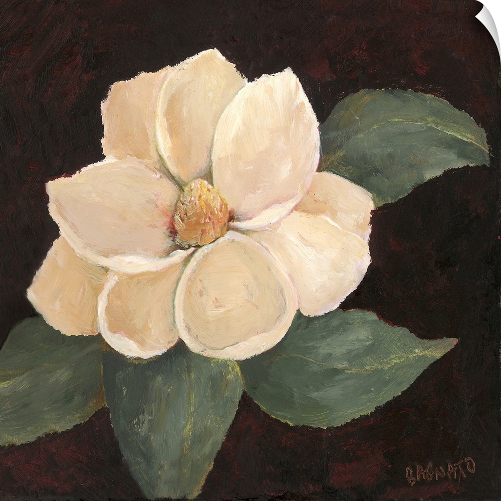 Contemporary painting of a magnolia blossom on a black background.