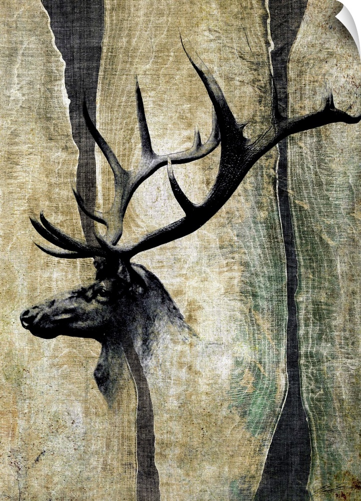 Antler display on a live-edge cabin wall.