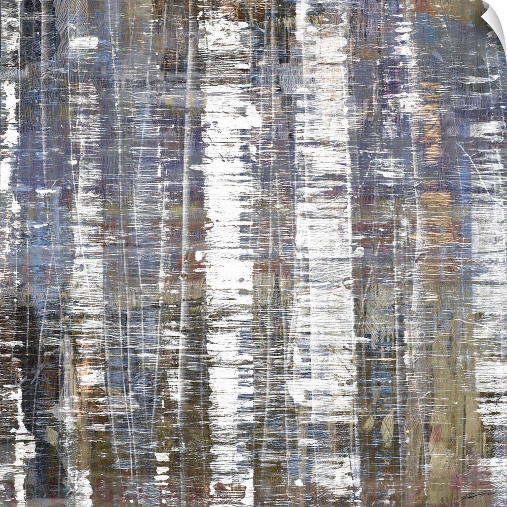 Birch trees in a forest of modern hues.