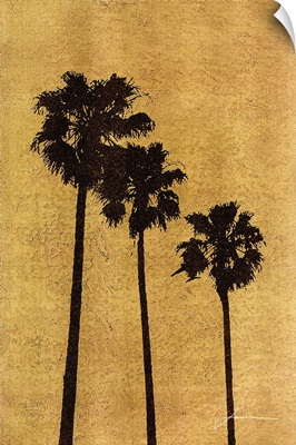 Palm Prints 1