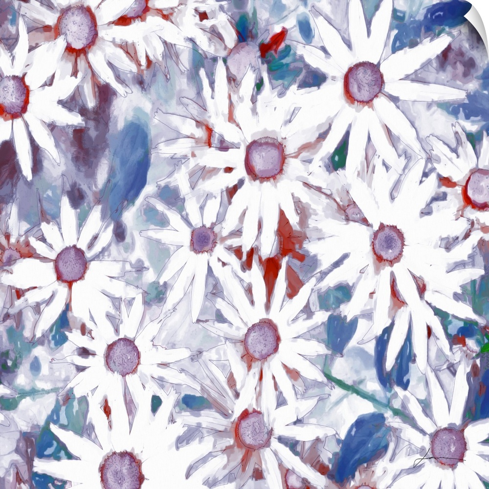 A tight cluster of daisies accented with splashes of color.