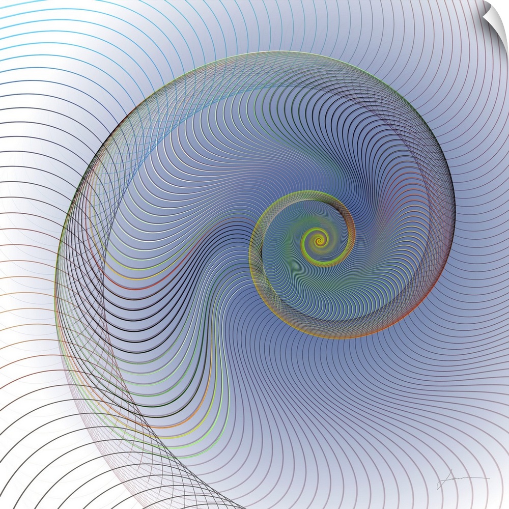 A spiraling abstract nautilus shell made of flowing lines.
