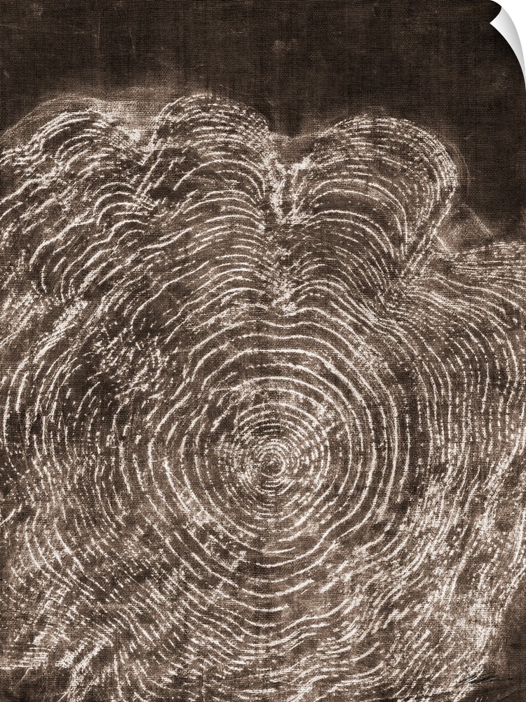 A charcoal rubbing of ancient tree rings.