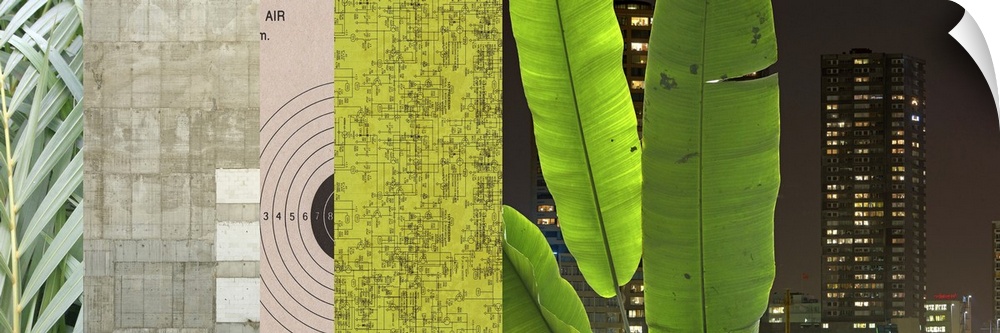 Panoramic collage on canvas of ferns, stones, a target, map, palms and an urban scene.