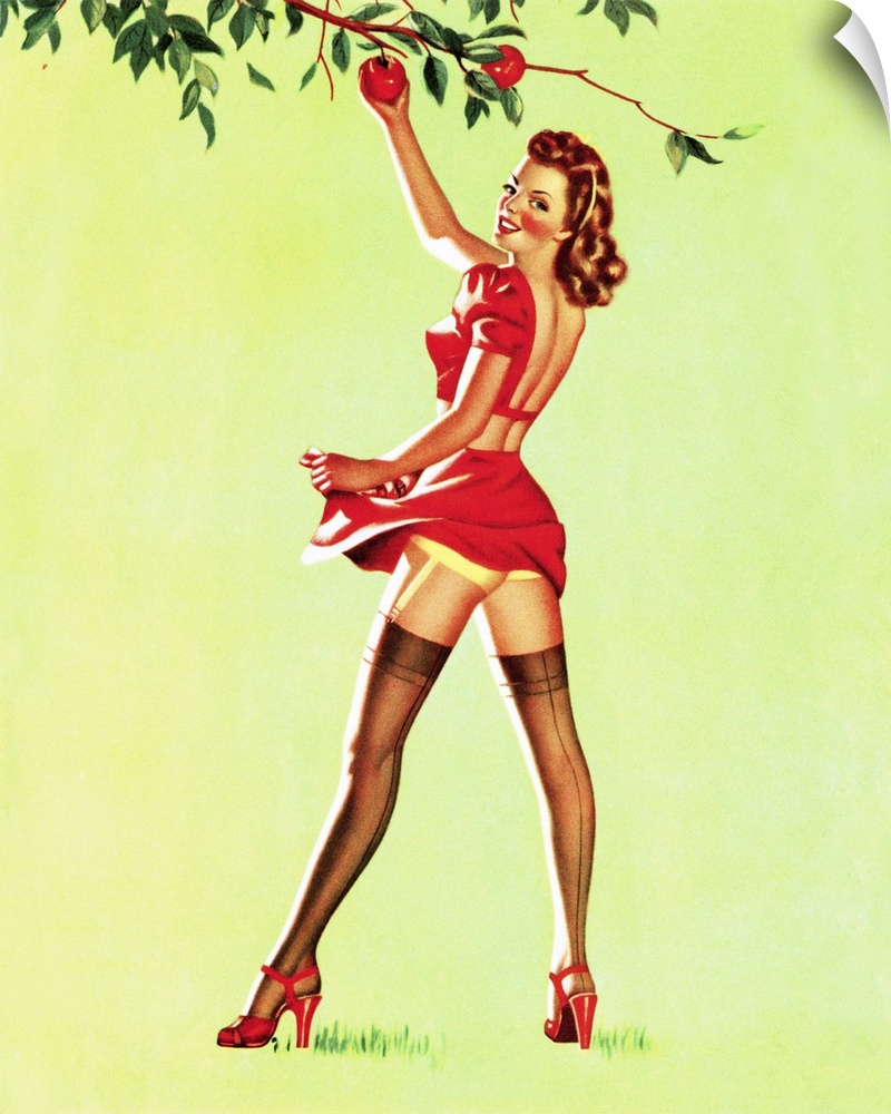 Vintage 50's pin-up girl picking apples from a tree.