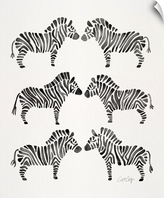 Black Zebras