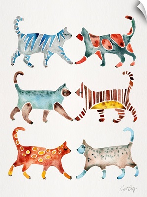 Cat Collection