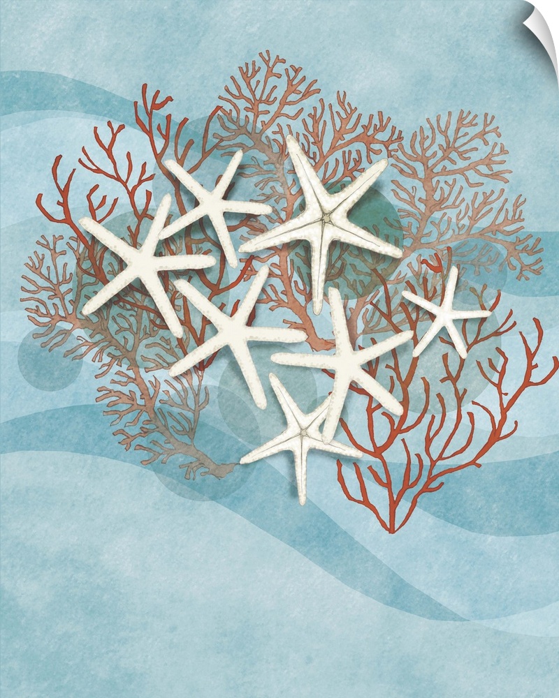 Illustration of several white starfish with red coral on a wavy blue background.