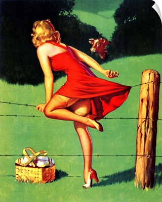 Fence-hopping Pin Up Girl