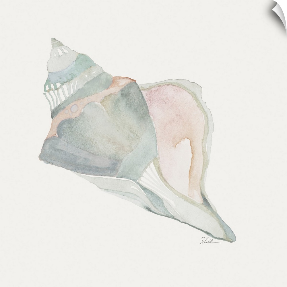 Hand Painted watercolor seashell with modern abstract details