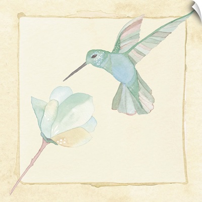 Hummingbird and Flower - Butter