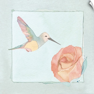 Hummingbird and rose - pale aqua