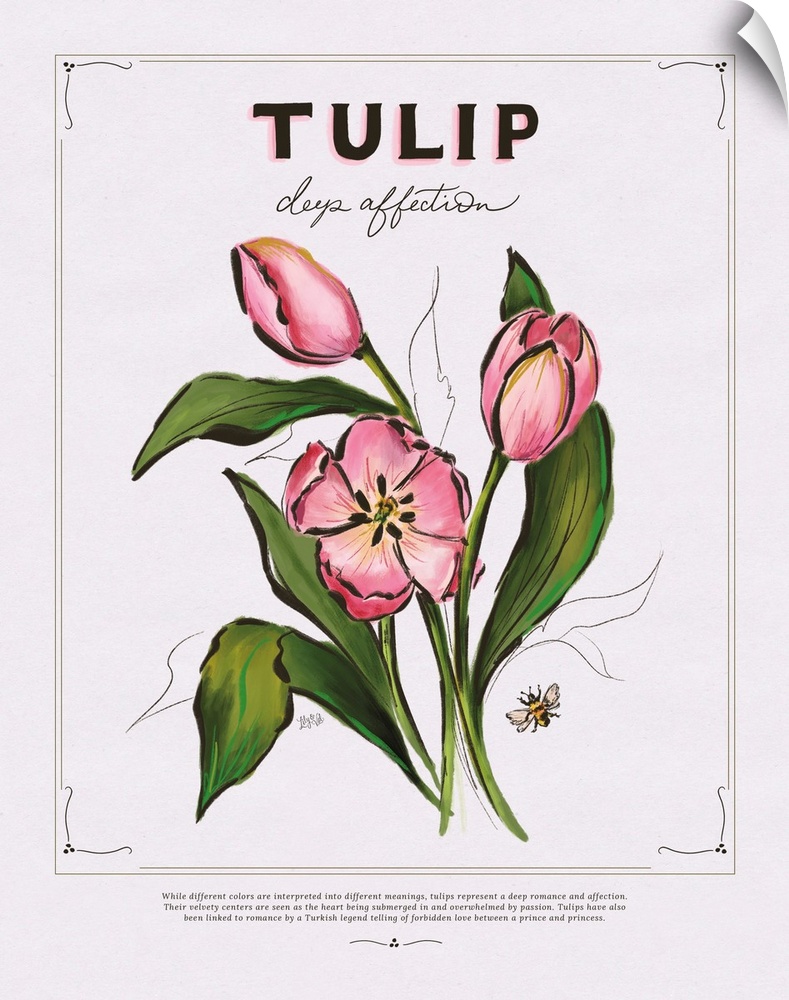 Language Of Flowers - Tulip