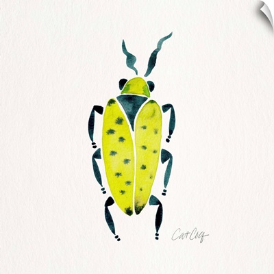 Lime Turquoise Beetle Collection Beetle 7