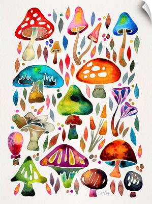 Mushroom Magic Rainbow