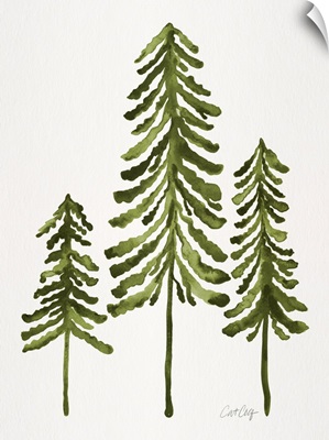 Sage Pine Trees
