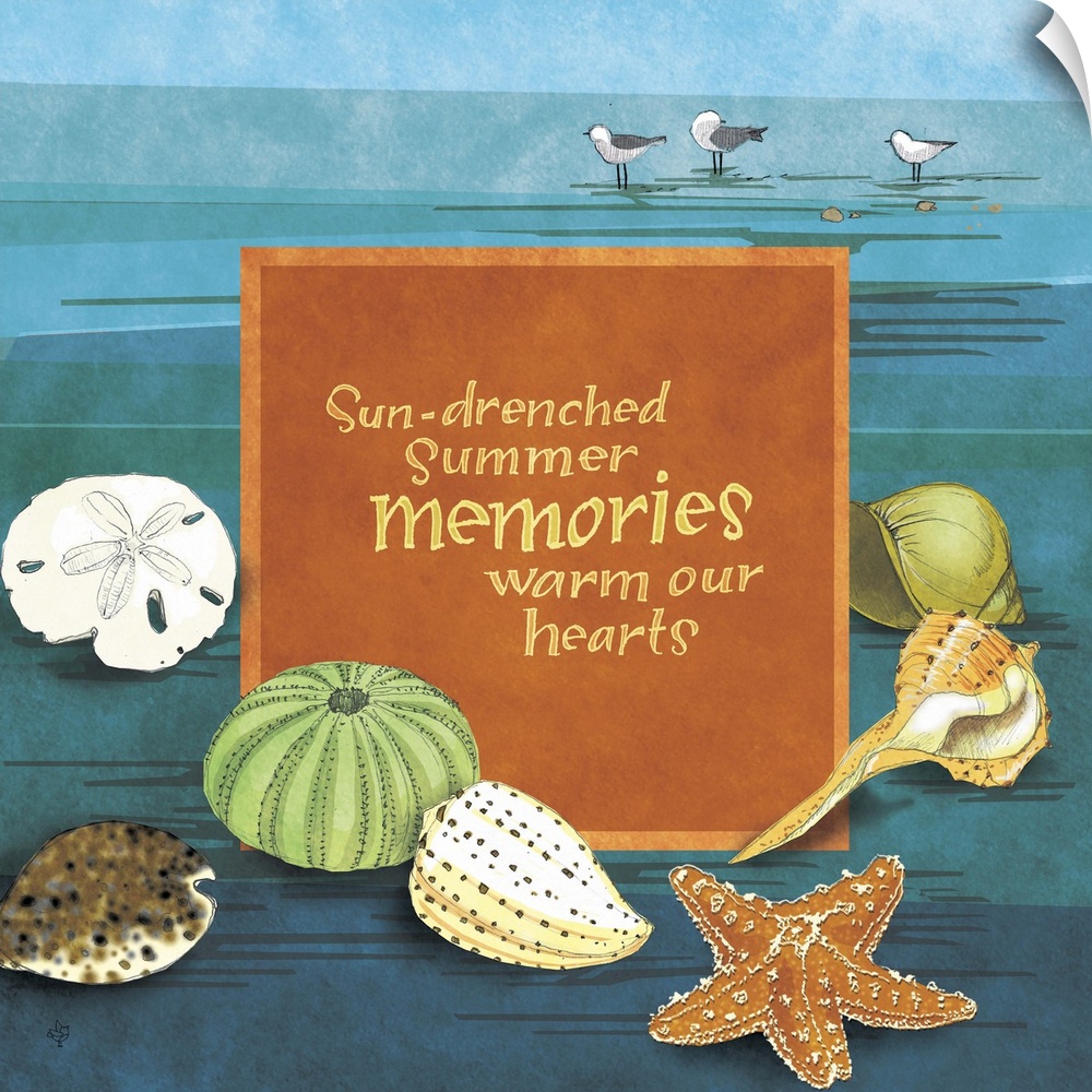 "Sun-drenched summer memories warm our hearts," illustrated with several sea shells.