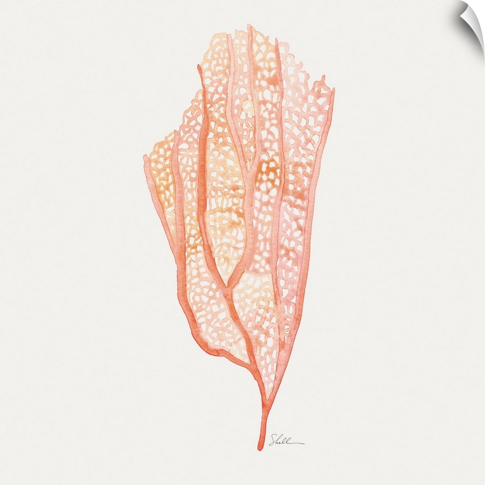 Handpainted Watercolor Corals in a sophisticated palette