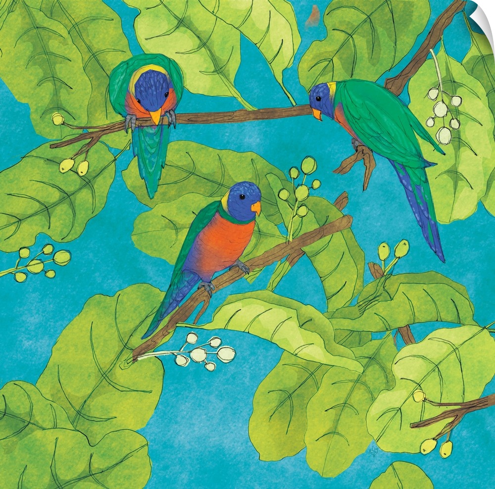 Painting of three lorikeets in branches with large leaves.