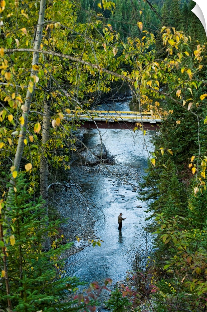 A fisherman in Bighorn Creek, part of the Kootenay River system.