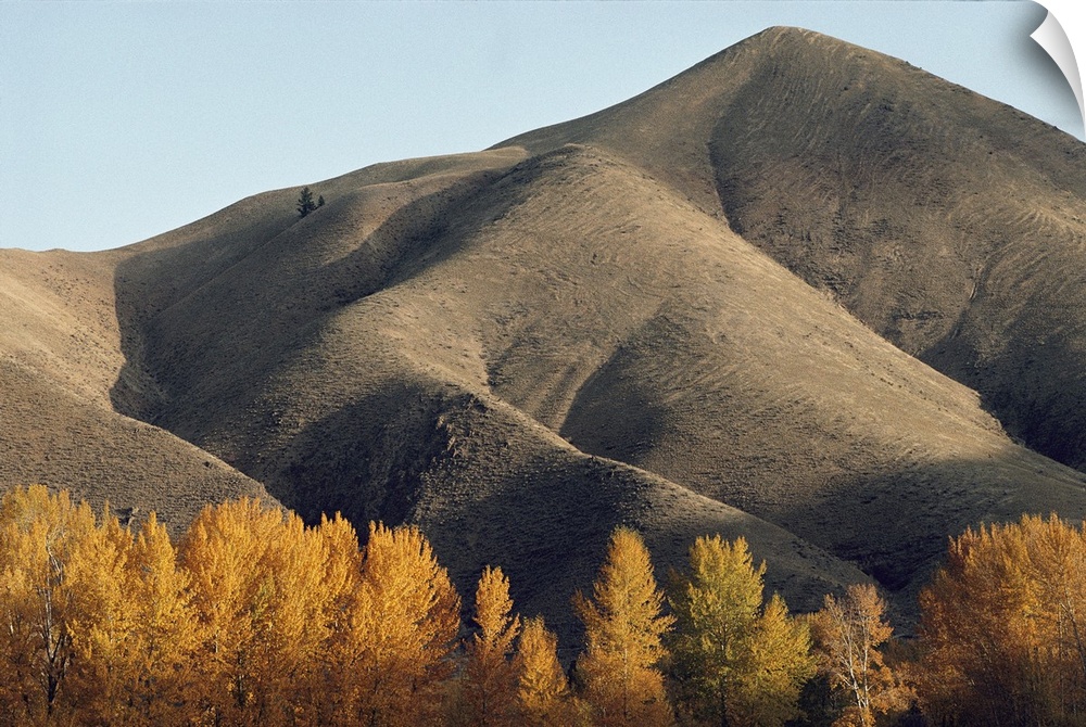 Autumn view of hills north of Salmon, Idaho.