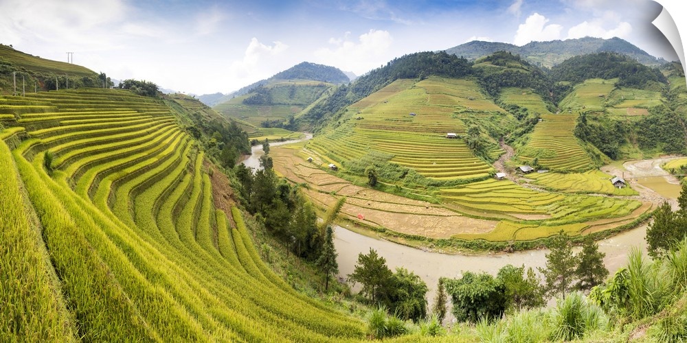 A river flows through lush, green rice terraces, Mu Cang Chai, Yen Bai Province, Vietnam, South-East Asia