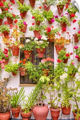 A Traditional Patio Of Cordoba, A Courtyard Full Of Flowers, Andalucia, Spain