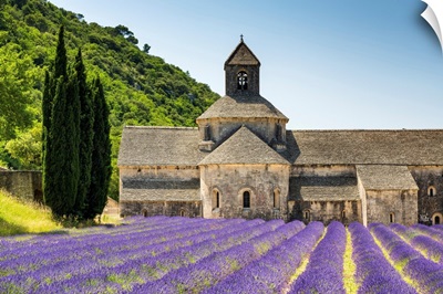 Abbaye De Senanque, Provence, France
