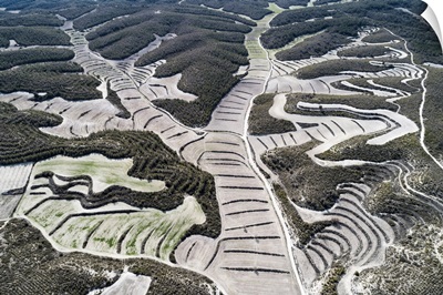 Aerial View Of Drylands Farming. Castejon De Monegros, Huesca, Aragon, Spain