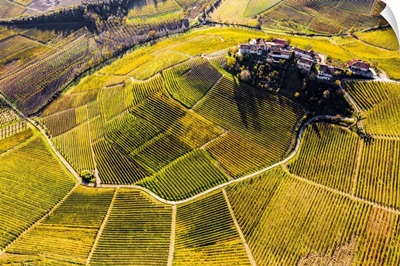 Aerial View Of Montestefano Village In Autumn, Barbaresco Region, Piedmont, Italy