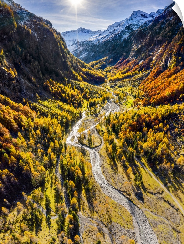Aerial view of wild torrent in autumn, Val Bodengo (Bodengo valley), Valchiavenna, Valtellina, Lombardy, Italy, Europe. Lo...