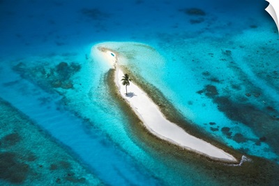 Aerial View Over Island With Lone Palm Tree, Maldives, Indian Ocean