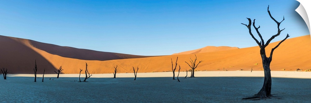 Africa, Namibia, Deadvlei, Namib desert, dead acacia trees
