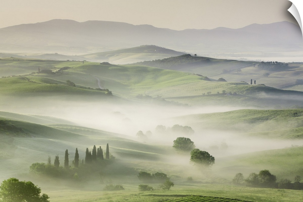 Agricultural landscape in fog. Italy, Tuscany, Siena, Val d'Orcia, San Quirico d'Orcia. Tuscany, Western Europe, Italy.