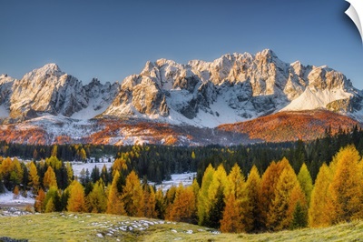 Alpine Pasture Nemes Against Sextner Dolomites, South Tyrol, Alto Adige, Italy, Europe