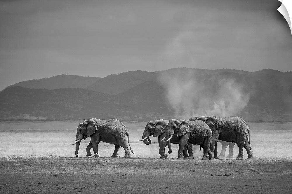 Amboseli Park, Kenya, Africa A family of elephants in Amboseli Kenya.