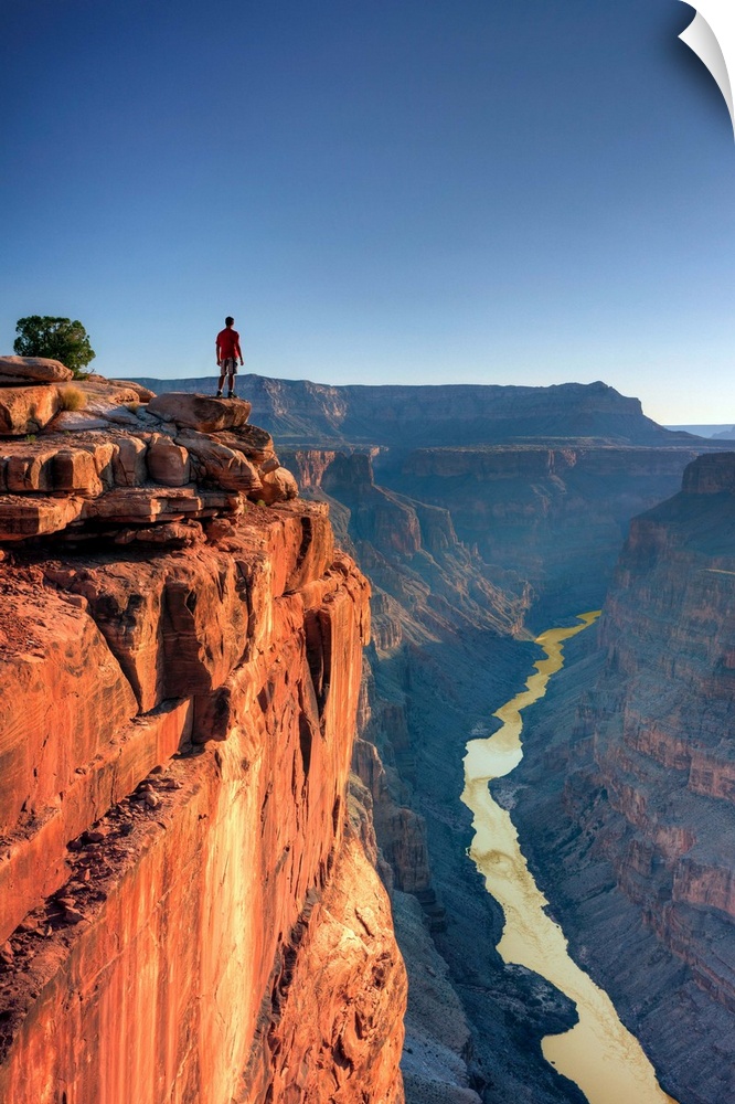 USA, Arizona, Grand Canyon National Park (North Rim), Toroweap (Tuweep) Overlook, Hiker on cliff edge (MR)