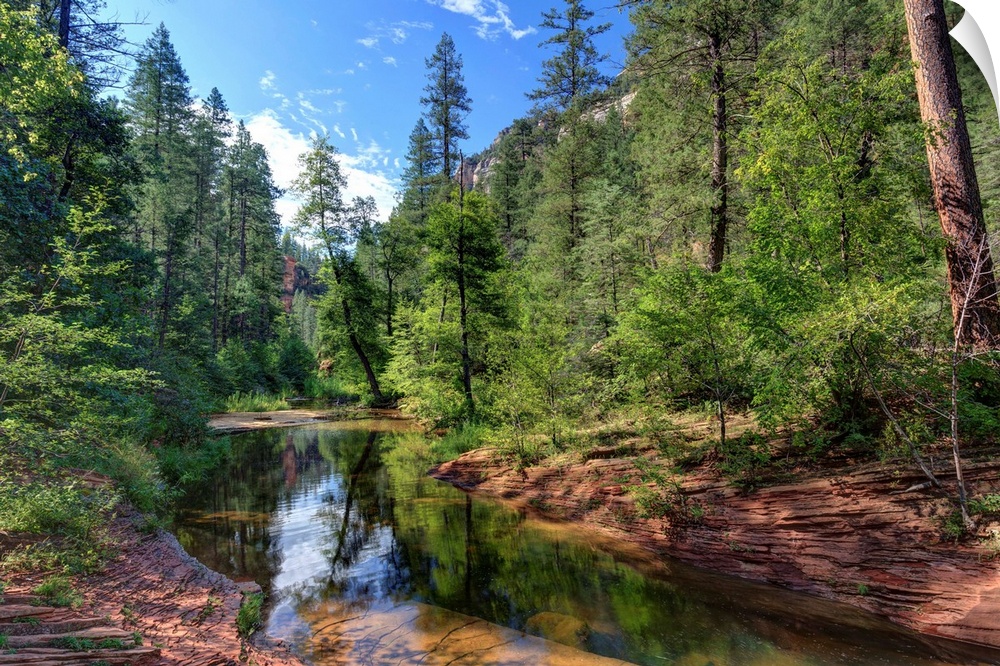 USA, Arizona, Sedona, Oak Creek Canyon, West Fork Trail
