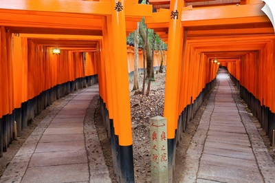 Asia, Japan, Honshu, Kyoto, Fushimi-Inari Taisha shrine