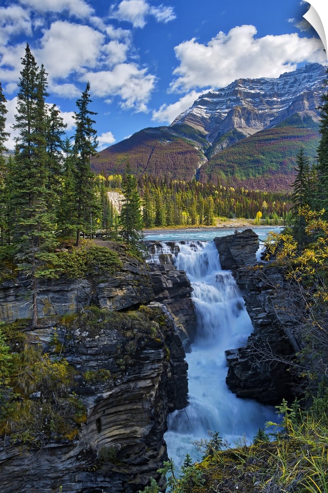 Athabasca  River at Athabasca Falls, Canadian Rocky Mountains, Jasper National Park, Alberta, Canada