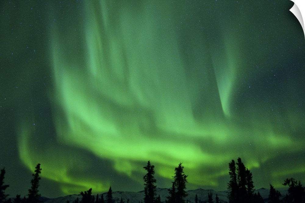 Aurora Borealis at Chena Hot Springs, Fairbanks, Alaska, USA