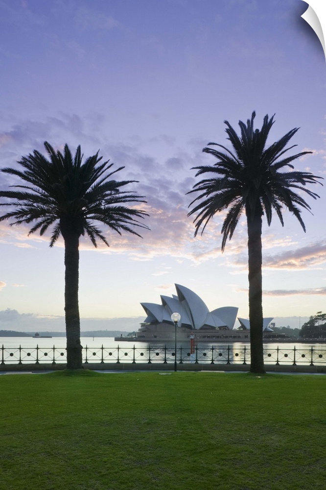 AUSTRALIA-New South Wales (NSW)-Sydney: Sydney Opera House through palms / Dawn