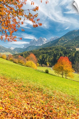 Autumn Colors In The Funes Valley With The Odle Peaks, South Tyrol, Italy