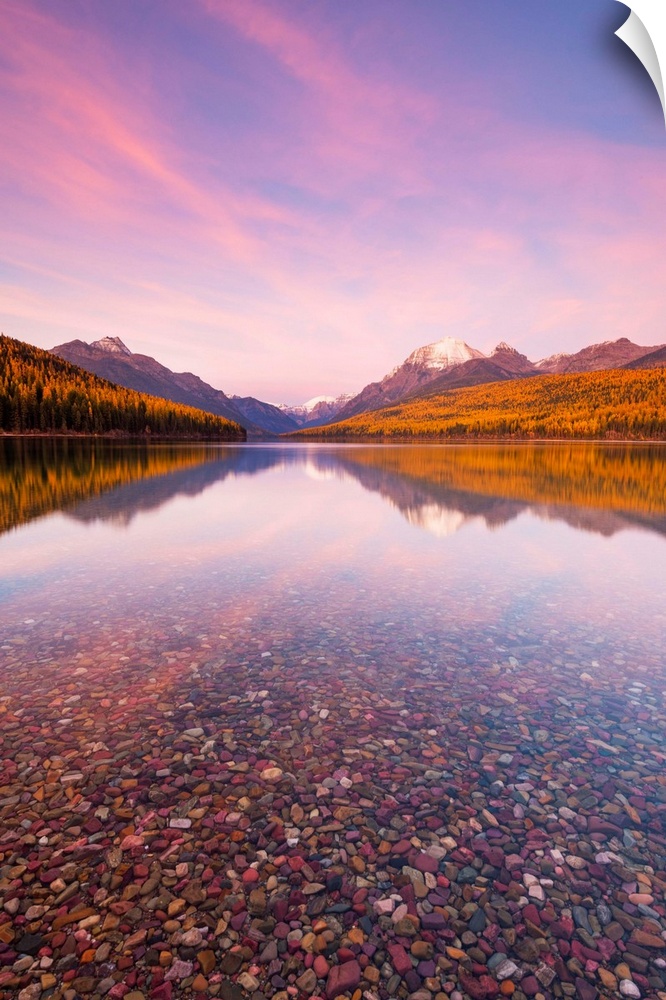 Autumn colours at sunset on Bowman Lake, Glacier National Park, Montana, USA.
